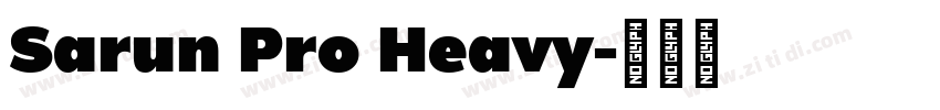 Sarun Pro Heavy字体转换